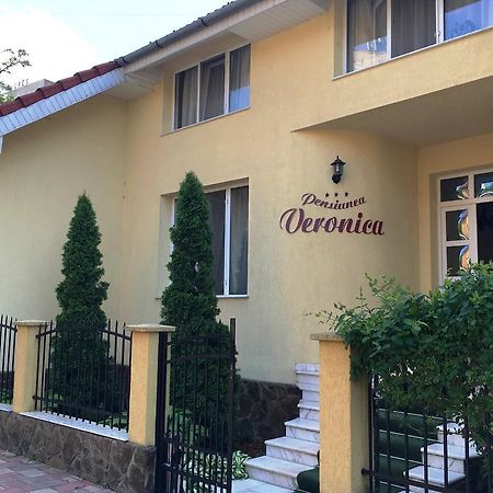 Pensiunea Veronica Baile Felix Exterior photo
