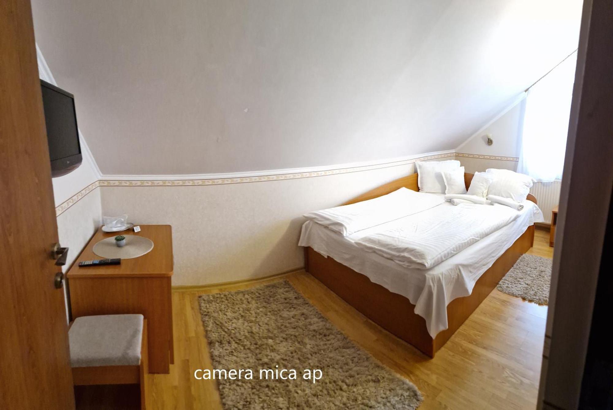 Pensiunea Veronica Baile Felix Room photo