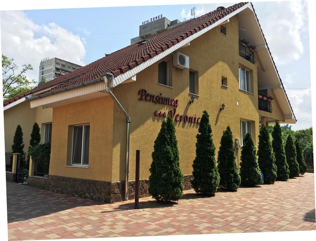 Pensiunea Veronica Baile Felix Exterior photo